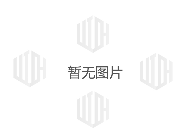 鹹陽泥漿(jiāng)泵